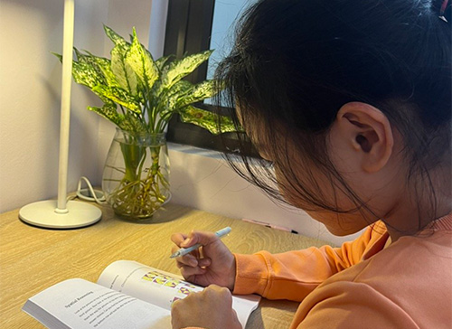 Z4964639118958 1689ca69eadf961c552a988b71b56012 20231211131317 Pdapi